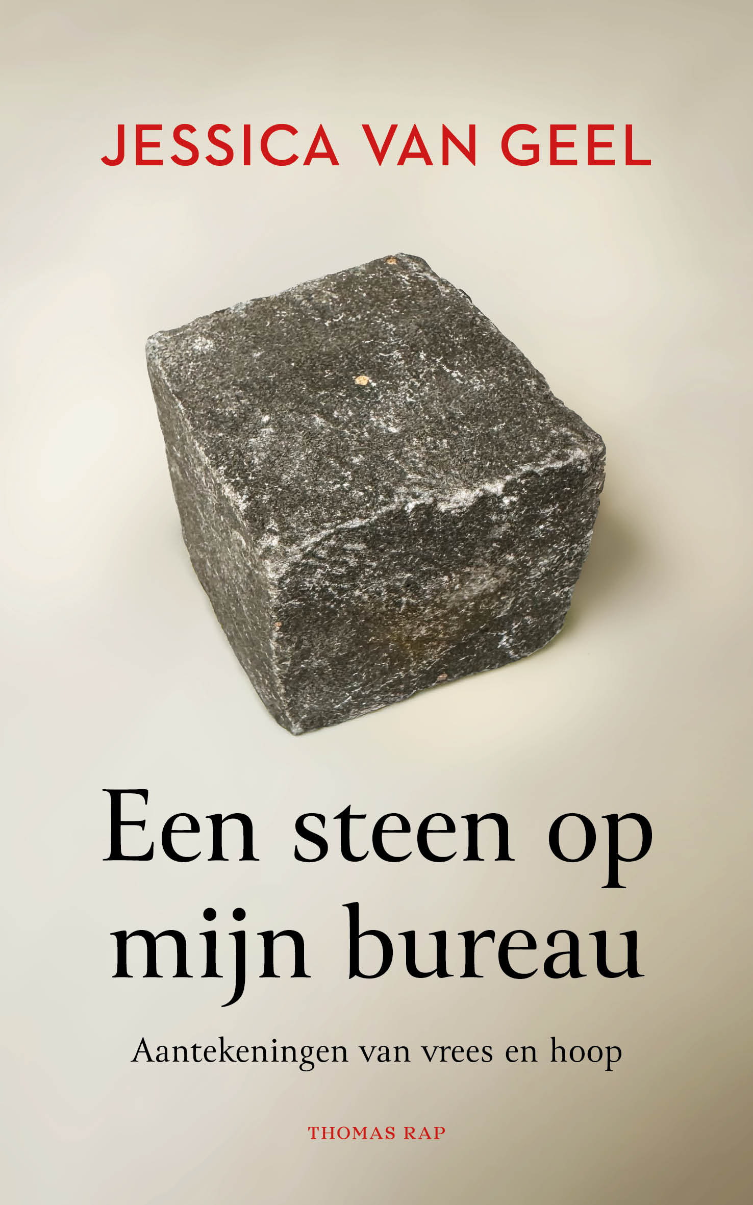 Een steen op mijn bureau