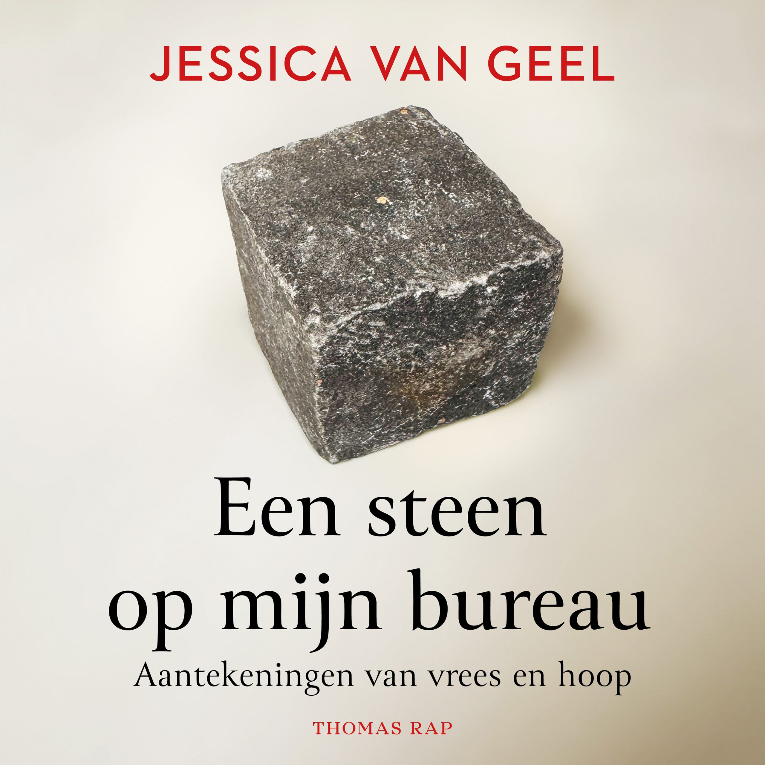 Een steen op mijn bureau