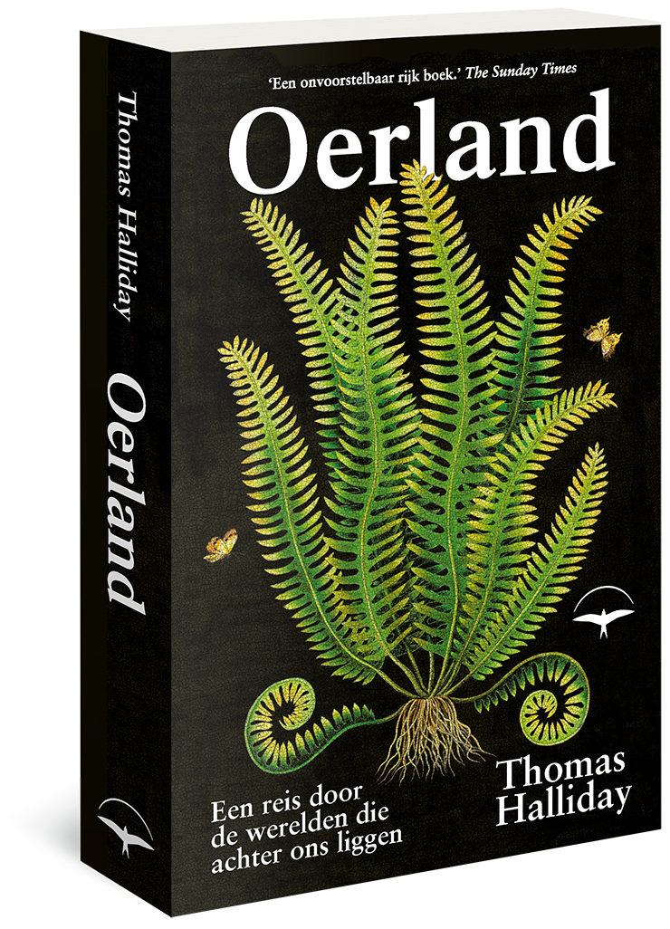 Oerland
